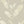 Pampas Grass wallpaper by Brand McKenzie in cream, close-up of pampas grass plumes (alternate view)