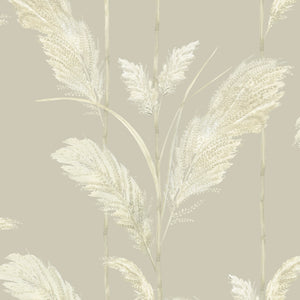 Pampas Grass wallpaper by Brand McKenzie in cream, close-up of pampas grass plumes (alternate view)