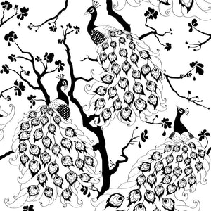Peacock wallpaper by Dupenny in black and white, full repeat of peacocks in branches