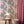 Peacock wallpaper by Dupenny in pink, peacocks in branches on a feature wall
