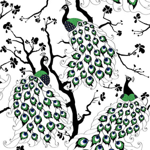 Peacock wallpaper by Dupenny in multicolour, flat sample of peacocks in branches