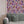 Plethora of Pansies wallpaper by Victoria Sanders in pink, painted pansies behind a sofa in a living room