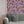 Plethora of Pansies wallpaper by Victoria Sanders in cream, painted pansies on a living room wall