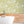 Pond Life wallpaper by Brand McKenzie in sage green, lily pads and pond life in a bathroom setting