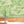Pond Life wallpaper by Brand McKenzie in green, lily pads and pond life on a bathroom wall
