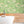 Pond Life wallpaper by Brand McKenzie in green, lily pads and pond life in a bathroom