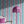 Popsicle wallpaper by Liberty James Studio in teal and pink, roll showing wavy popsicle stripes