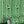 Popsicle wallpaper by Liberty James Studio in green, sample roll showing wavy popsicle stripes