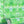 Psychedelic Pop Wallpaper wallpaper by Liberty James Studio in green, sample roll showing a psychedelic mirrored design