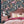 Punk Rocks wallpaper by Brand McKenzie in pink, punk animals among roses behind a bed