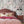 Punk Rocks wallpaper by Brand McKenzie in pastel, punk animals among roses behind a bed