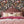 Punk Rocks wallpaper by Brand McKenzie in pink, punk animals among roses in a bedroom (alternate view)