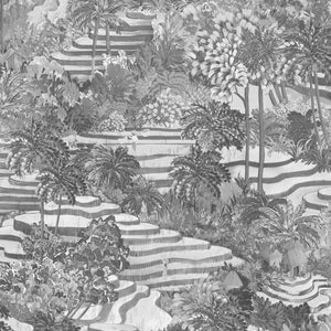 Rice Terrace Standard wallpaper by Brand McKenzie in black and white, close-up of rice terraces