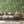 Rice Terrace Standard wallpaper by Brand McKenzie in green, rice terraces behind a sofa in a living room