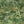 Rice Terrace Standard wallpaper by Brand McKenzie in green, pattern detail of rice terraces