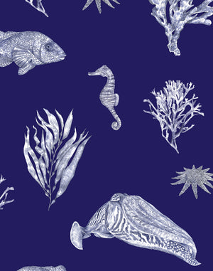 Solent Snapper wallpaper by XV Interiors in navy, full repeat of fish, seahorses and coral