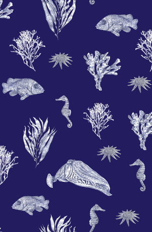 Solent Snapper wallpaper by XV Interiors in navy, pattern sample of fish, seahorses and coral