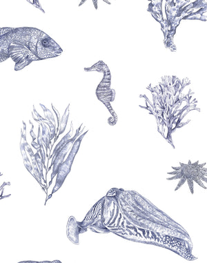 Solent Snapper wallpaper by XV Interiors in blue, flat sample of fish, seahorses and coral