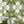 Santorini Tile wallpaper by Liberty James Studio in olive green and white in a bathroom setting