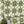 Santorini Tile wallpaper by Liberty James Studio in olive, roll showing a Mediterranean tile pattern