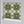 Santorini Tile wallpaper by Liberty James Studio in olive green and white, roll showing a Mediterranean tile pattern