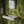 Savana wallpaper by Deus ex Gardenia in green, large savanna leaves in a bathroom