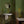 The Garden of Lila wallpaper by Deus ex Gardenia in dark green, a tall forest mural in a bathroom