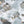 Sea Life wallpaper by Brand McKenzie in pale grey, close-up of fish and sea creatures
