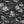 Sea Life wallpaper by Brand McKenzie in charcoal and pink, detail of fish and sea creatures
