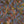 Seahorse Mangrove wallpaper by Brand McKenzie in lilac and orange, close-up of seahorses among mangrove leaves