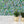 Seahorse Mangrove wallpaper by Brand McKenzie in green, seahorses among mangrove leaves behind bar stools