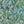 Seahorse Mangrove wallpaper by Brand McKenzie in green, detail of seahorses among mangrove leaves
