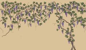Seasons of the Vine wallpaper by Dami and Em Design in beige, flat sample of grape vines