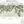 Seasons of the Vine wallpaper by Dami and Em Design in cream, panel layout diagram of grape vines