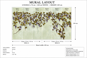 Seasons of the Vine wallpaper by Dami and Em Design in cream, mural layout plan showing grape vines