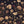 Seasons in Bloom wallpaper by Victoria Sanders in black and gold, detail of a meadow of flowers rising from the base