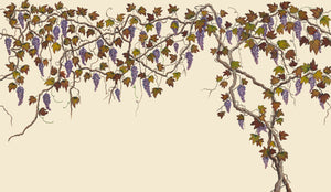 Seasons of the Vine wallpaper by Dami and Em Design in cream, full repeat of grape vines