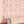 Shell Seekers wallpaper by Liberty James Studio in pink, roll showing a scallop shell pattern