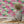 Silk Shades wallpaper by Brand McKenzie in pink, layered silk lampshades behind a dining table