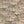 Silk Shades wallpaper by Brand McKenzie in pink and olive, close-up of layered silk lampshades