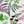 Strawberry Fields wallpaper by Parker and Jules in green, full repeat of strawberries, ferns and pansies