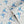 Forget Me Not wallpaper by Seed Home Designs in blue, partly unrolled roll showing scattered forget-me-nots