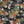 Tiger Lily wallpaper by Brand McKenzie in charcoal and gold, close-up of tigers among lilies
