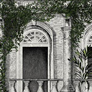 The Architecture wallpaper by Brand McKenzie in grey, close-up of overgrown classical buildings