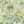 The Green House wallpaper by Brand McKenzie in green, close view of glasshouse plants