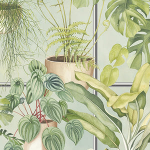 The Green House wallpaper by Brand McKenzie in green, glasshouse plants above a cabinet