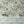 The Green House wallpaper by Brand McKenzie in blue, glasshouse plants above a sideboard