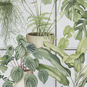 The Green House wallpaper by Brand McKenzie in green and white, close-up of glasshouse plants