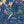 The Tropics wallpaper by Brand McKenzie in blue, close-up of tropical leaves and birds