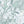 The Tropics wallpaper by Brand McKenzie in mint green, pattern detail of tropical leaves and birds